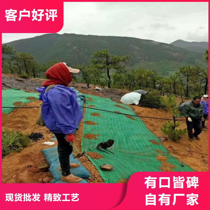 椰丝毯防水板源头把关放心选购同城制造商