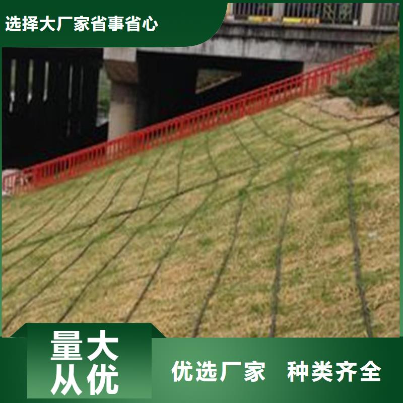 护坡植被植草毯-加筋椰丝毯本地生产商