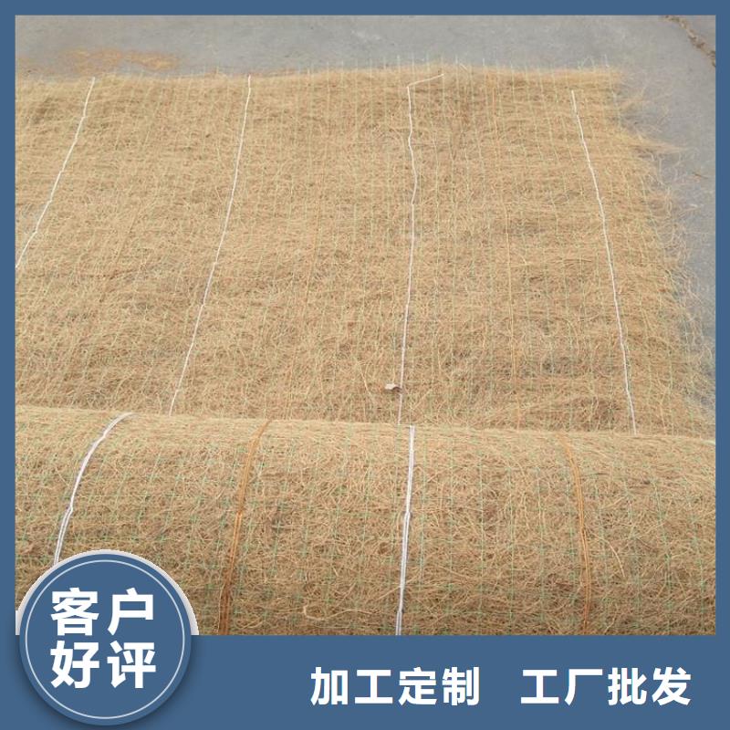 加筋抗冲生态毯-护坡抗冲植草毯同城生产厂家