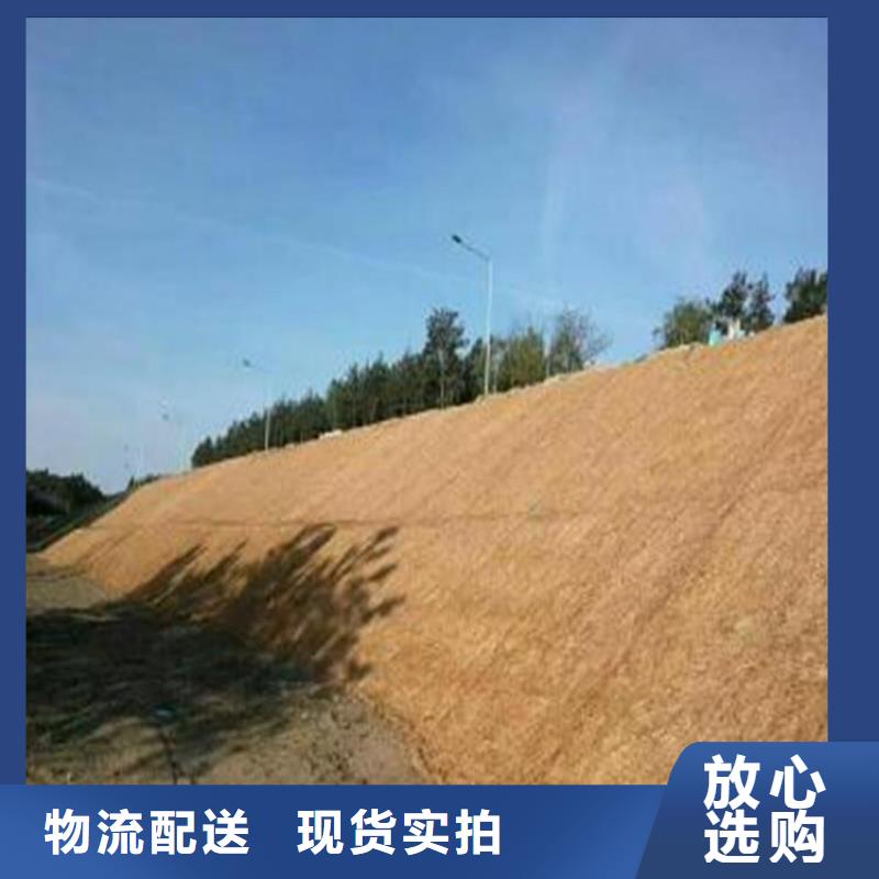 生态环保草毯-植物绿化纤维毯质优价廉
