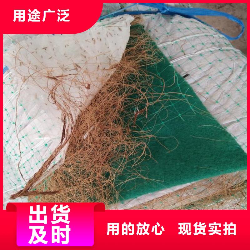椰丝毯_膨润土防水毯采购同城生产厂家