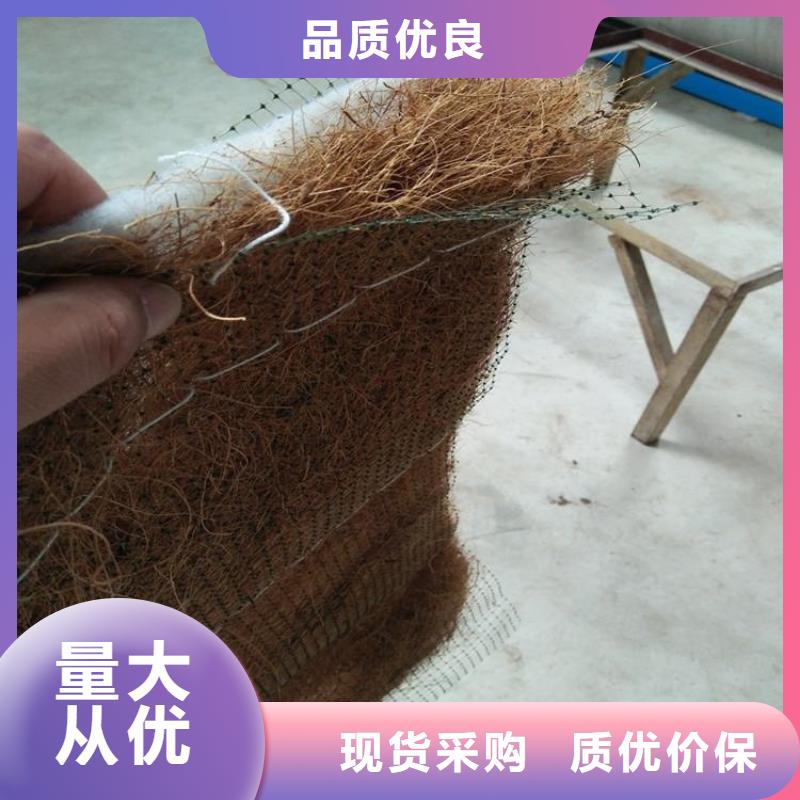 护坡植被植草毯-椰纤植生毯公司/多少钱一平同城服务商