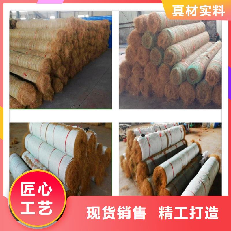 加筋抗冲生态毯本地供应商