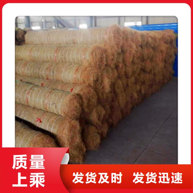 植生椰丝毯植物生态防护毯专业厂家