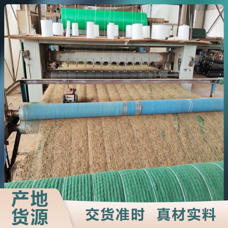 椰纤植生毯植物纤维毯层层检测同城生产厂家