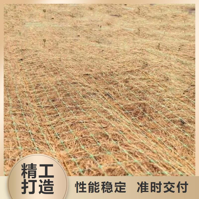 植生椰丝毯多年厂家可靠