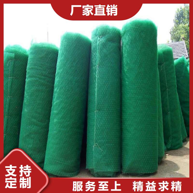 三维植被网土工格栅型号全价格低库存齐全厂家直供