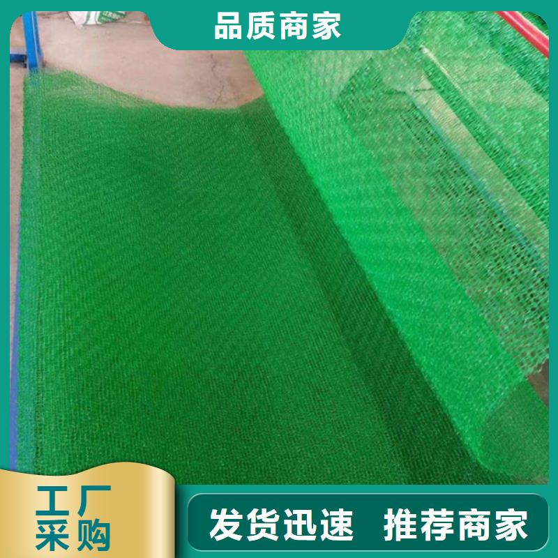 【三维植被网】_膨润土防水毯订购当地服务商