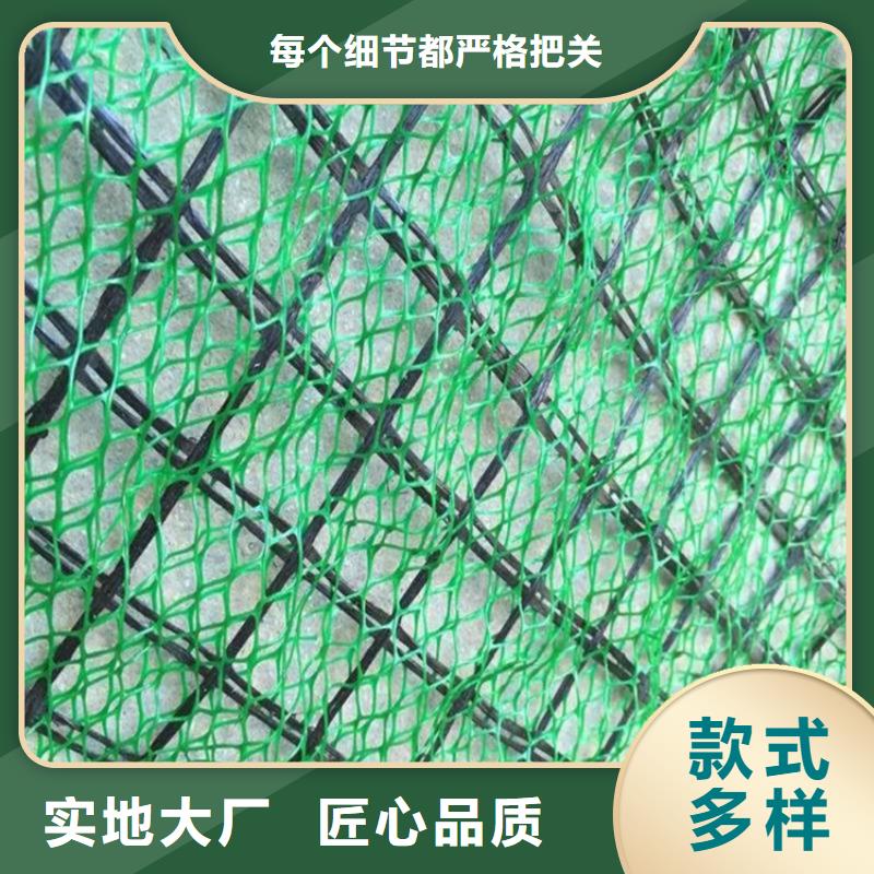 三维土工网垫-三维护坡植草网垫同城经销商