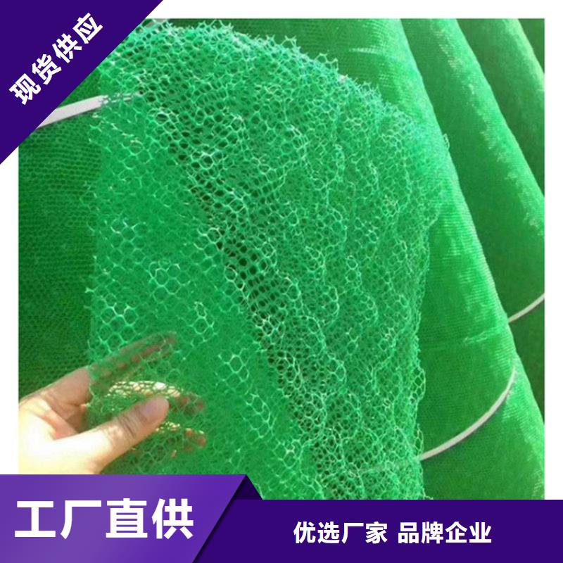 三维土工网垫-三维土工网垫本地制造商