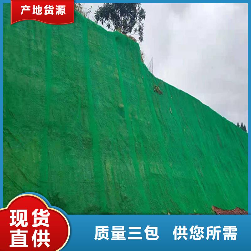 三维护坡植草网垫同城生产厂家