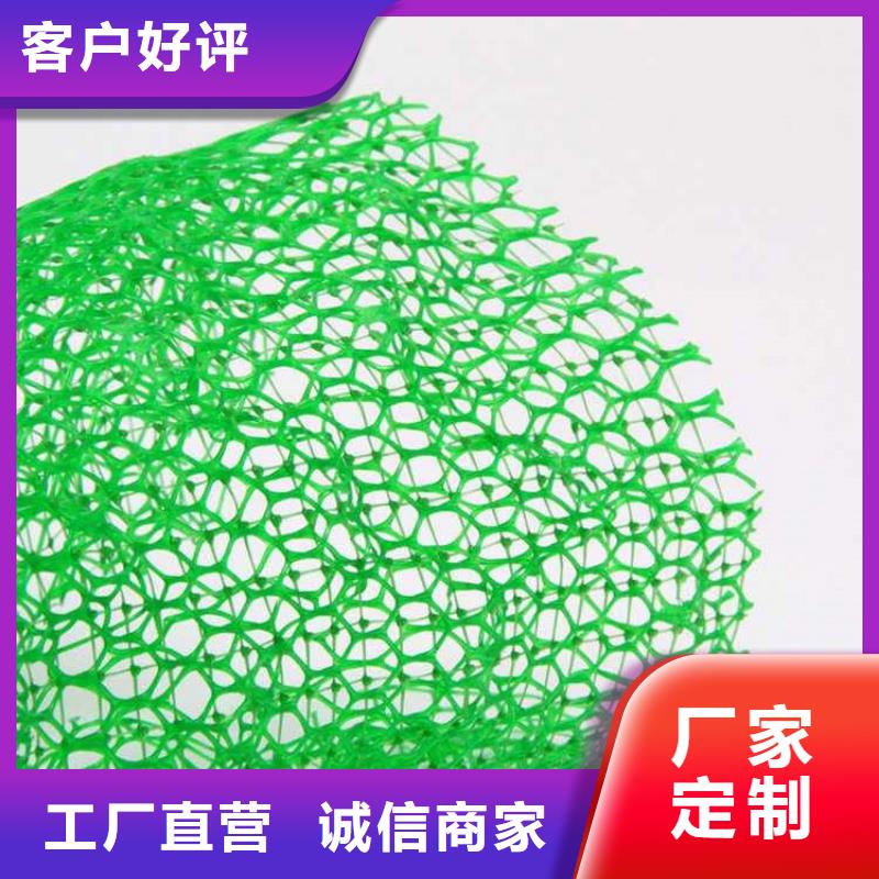 三维植被网膨润土防水毯厂家实力大厂家直销供货稳定