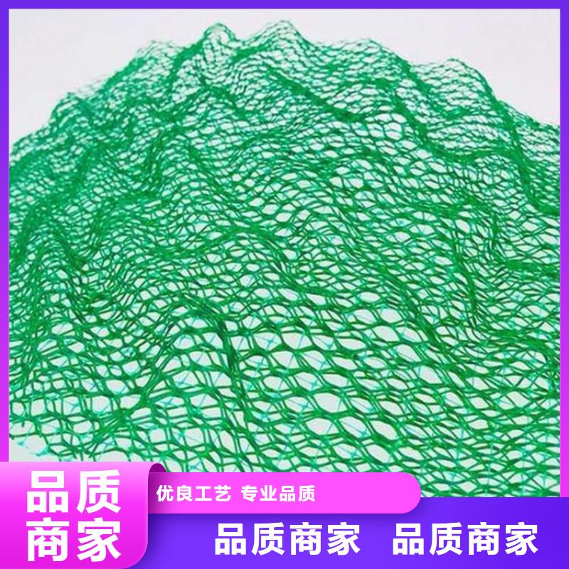 EM4三维护坡植草网垫厂家-办事处多种优势放心选择