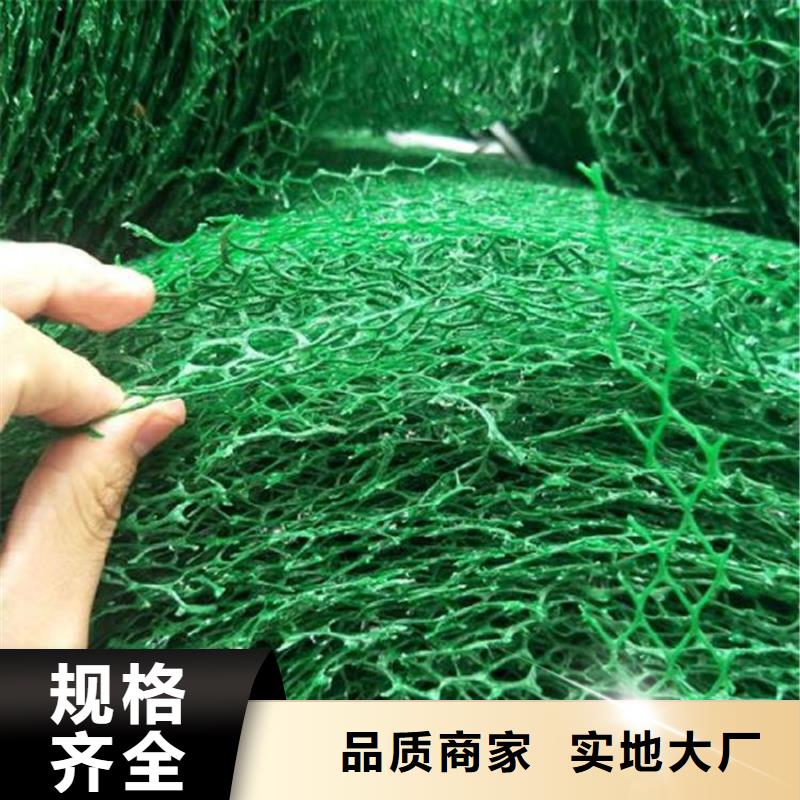襄阳三维植被网玻纤格栅大库存无缺货危机厂家直销售后完善