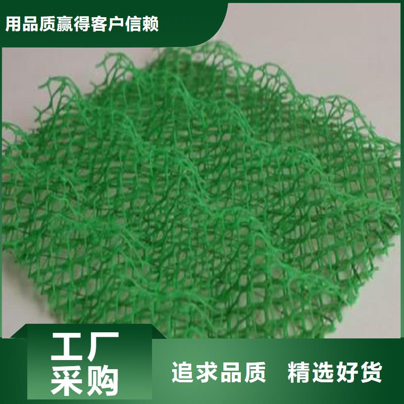 三维土工网垫-三维固土网垫打造好品质