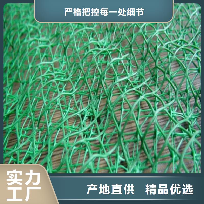 三维植被网土工格栅厂家精选本地供应商