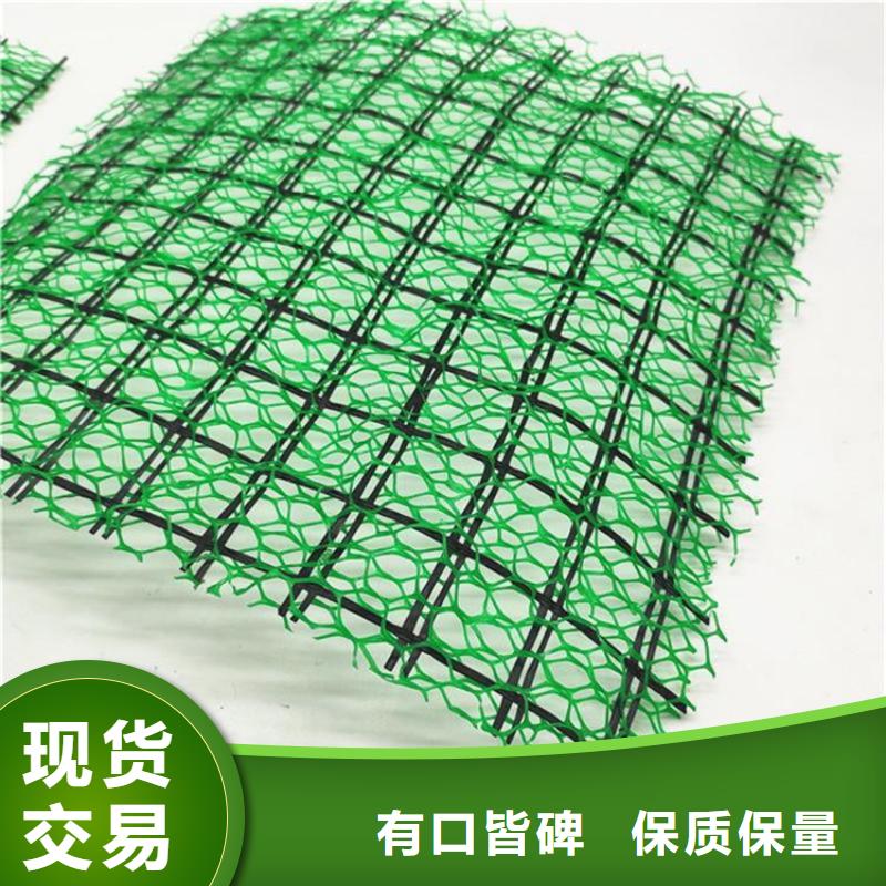 三维植被网_土工格栅售后服务完善同城经销商