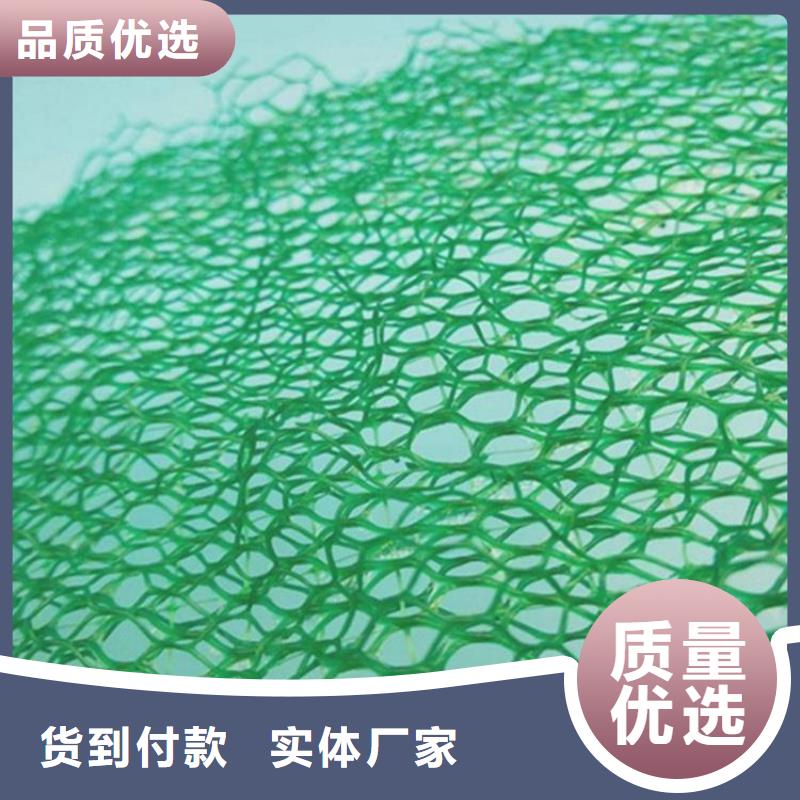 EM3三维加筋网垫厂家价格现货供应