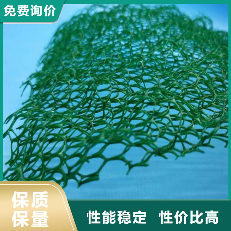 护坡加筋三维土工网垫来图来样定制