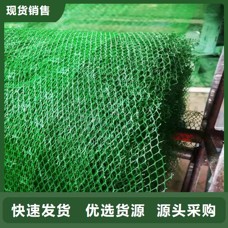三维固土网垫EM5三维护坡植草网垫您身边的厂家
