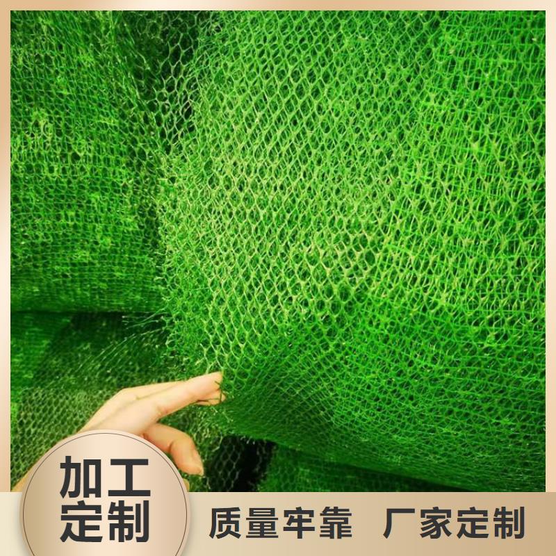 三维植被网,双向塑料土工格栅精致工艺同城服务商