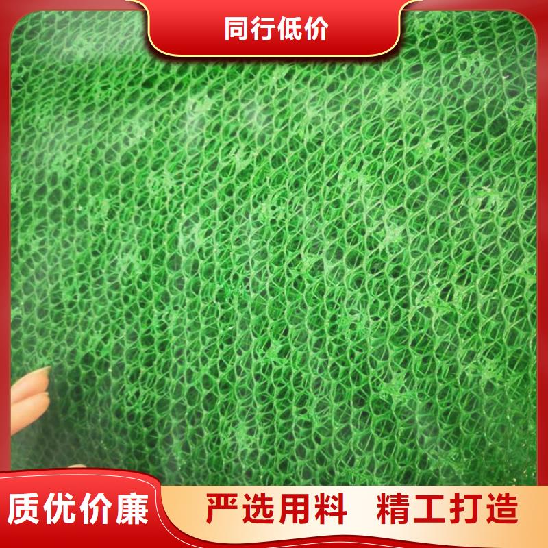襄阳三维植被网拉筋带一站式采购商为您提供一站式采购服务