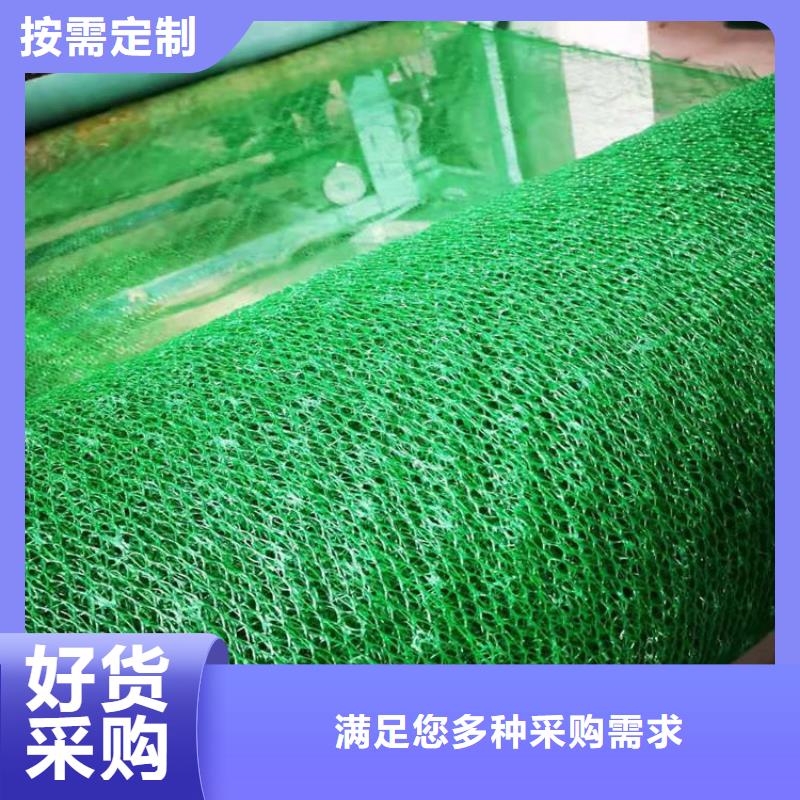 EM3三维加筋网垫-三维植被网垫品质做服务