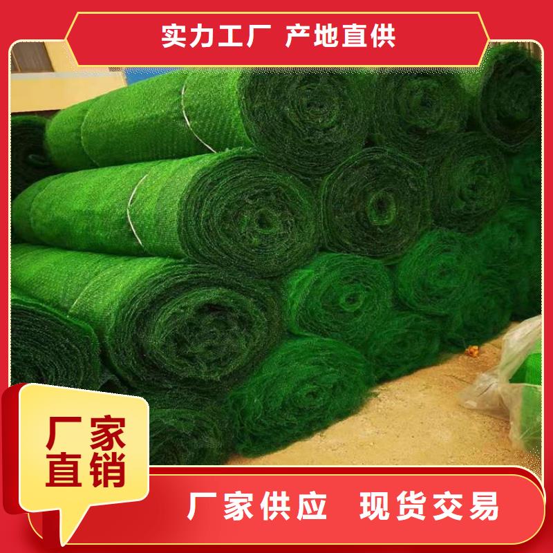 三维植被网_土工材料厂家直销当地供应商