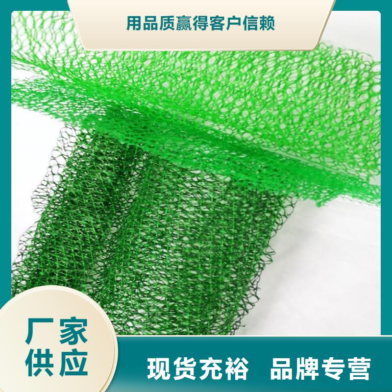 三维土工网垫-EM3三维加筋网垫同城品牌