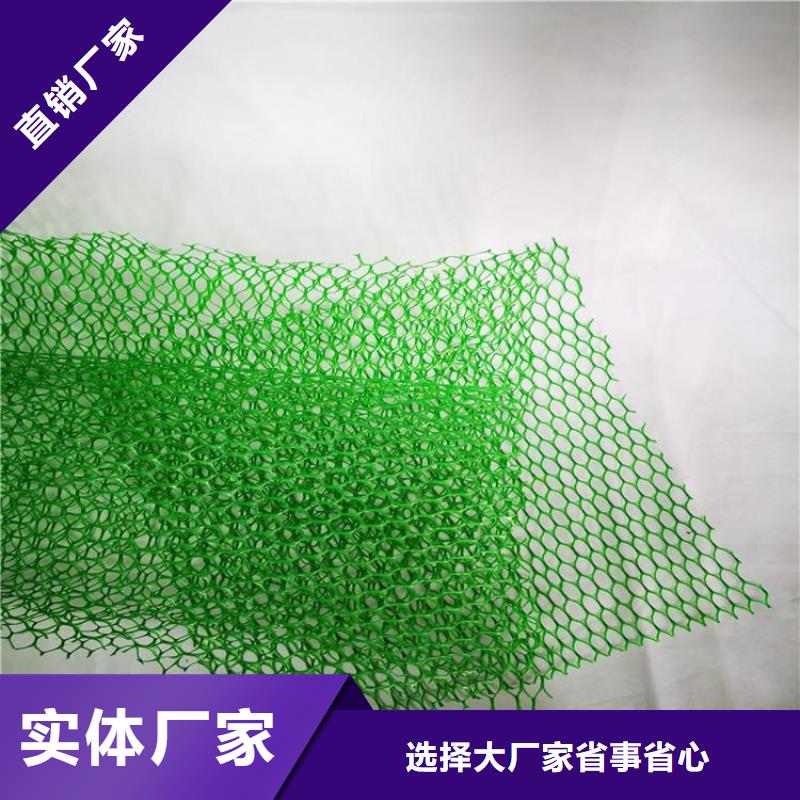 三维植被网土工膜实地大厂同城供应商
