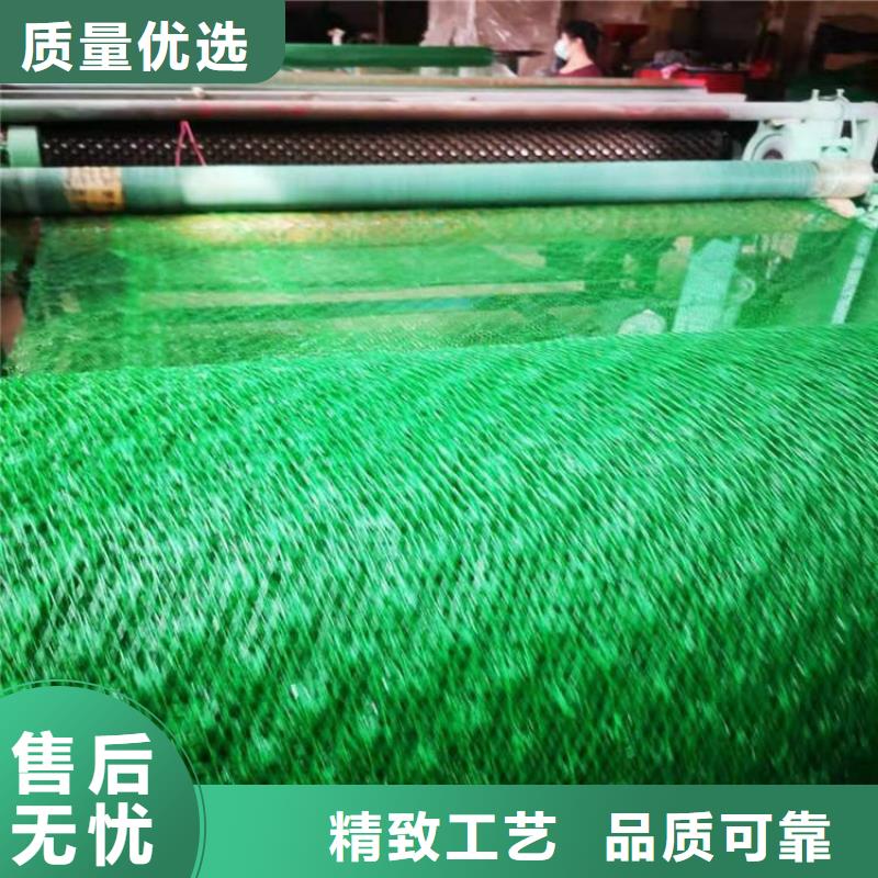 三维植被网HDPE土工膜品牌企业现货