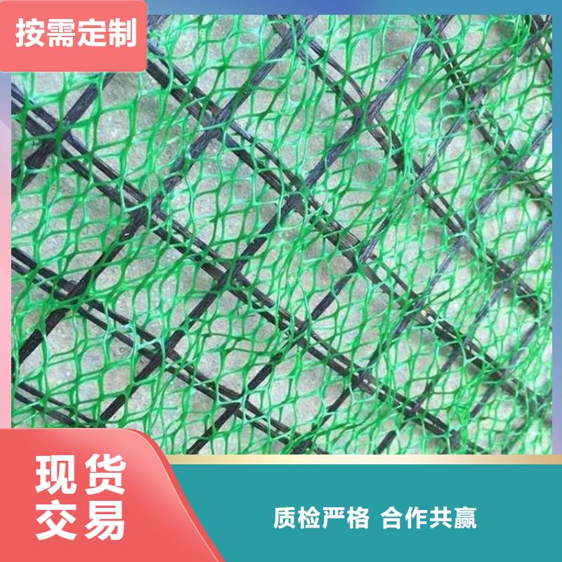 三维固土网垫EM4三维护坡植草网垫同城服务商