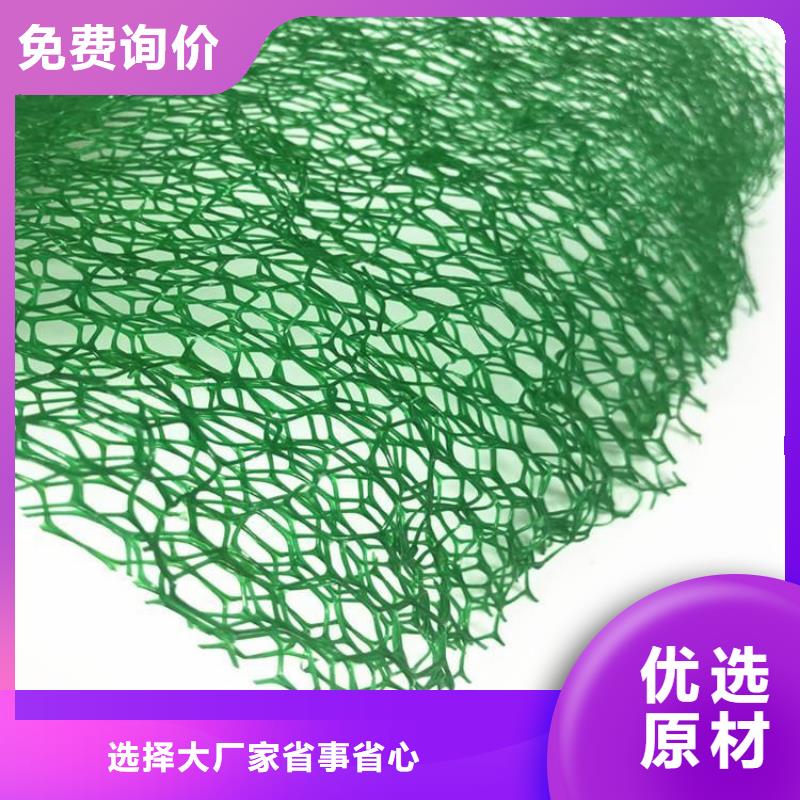三维固土网垫三维加筋网垫用心经营
