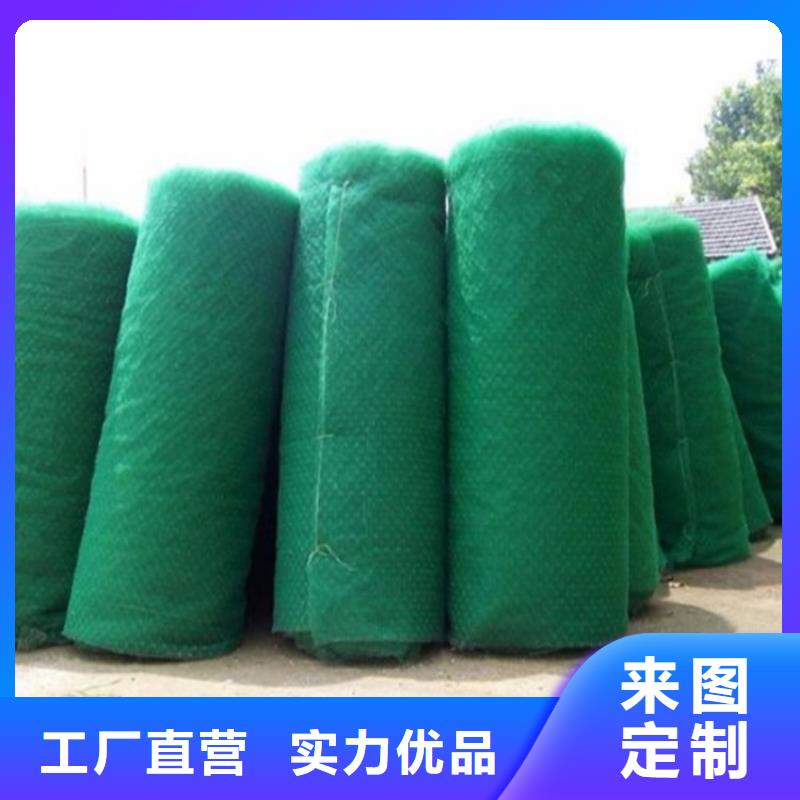 三维植被网膨润土防水毯细节展示品质值得信赖