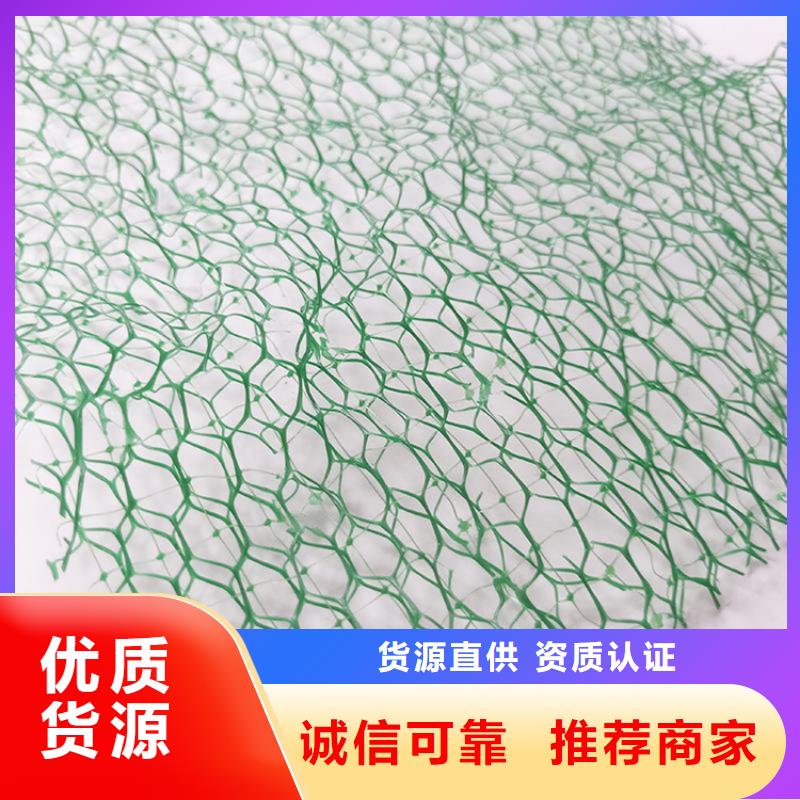 三维植被网【硬式透水管】按需定制本地制造商