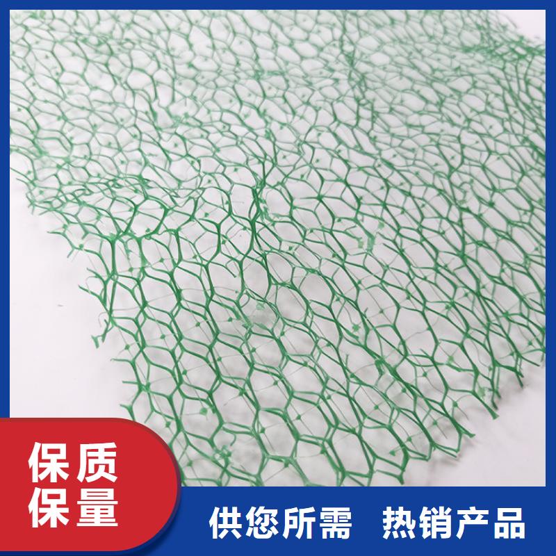三维植被网双向土工格栅支持拿样出厂严格质检