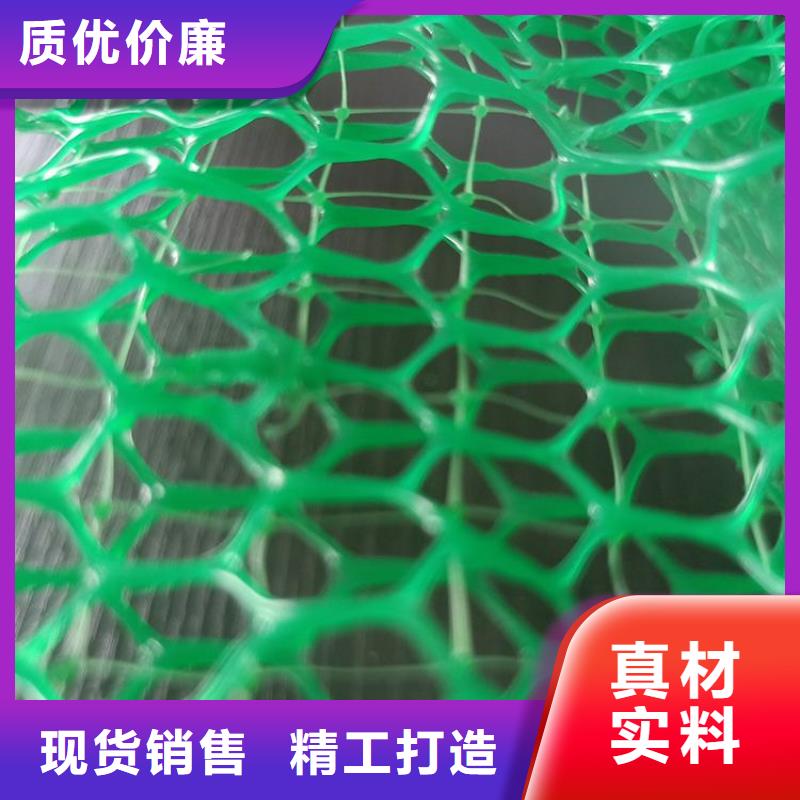 三维植被网款式多样
