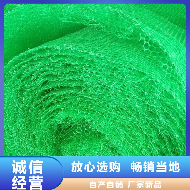 三维植被网,土工膜物流配货上门当地服务商