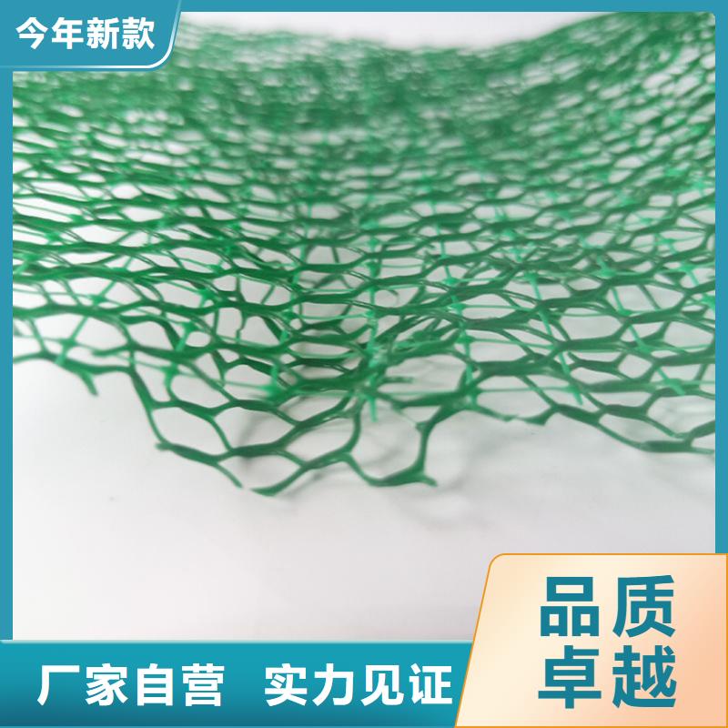 三维固土网垫三维植被网丰富的行业经验