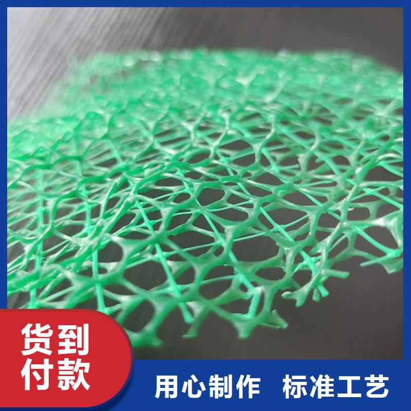 三维土工网垫本地厂家一站式厂家
