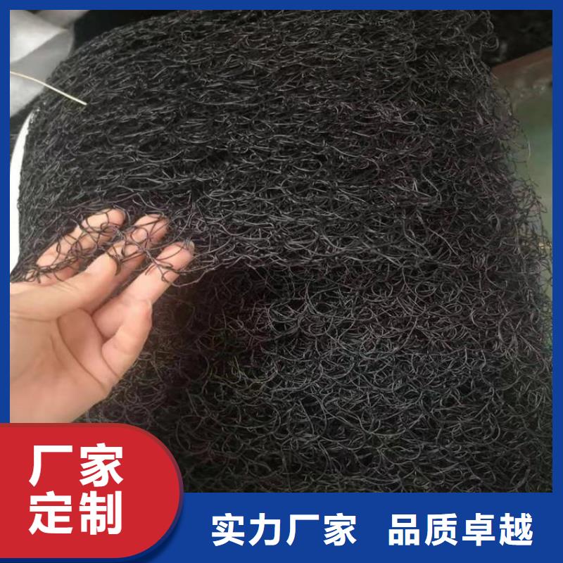 【通风降噪丝网】三维植被网支持货到付清本地生产厂家