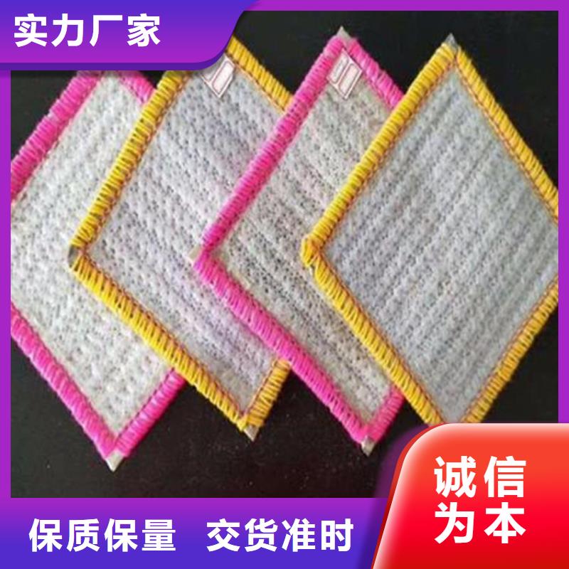 膨润土防水毯双向塑料土工格栅实体诚信厂家专注产品质量与服务