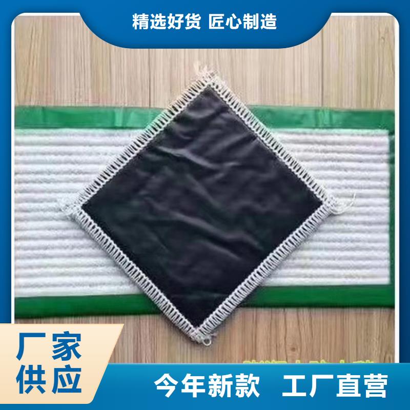 膨润土防水毯涤纶格栅我们更专业源头厂商