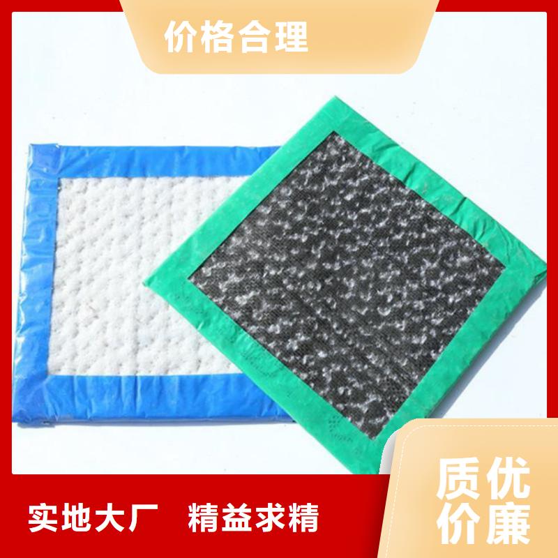 膨润土防水毯-土工布诚信厂家实力优品