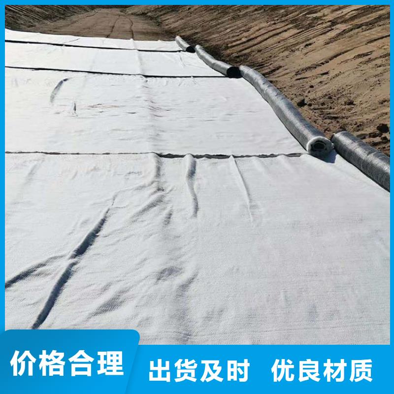 【膨润土防水毯,土工膜一手货源】本地生产厂家