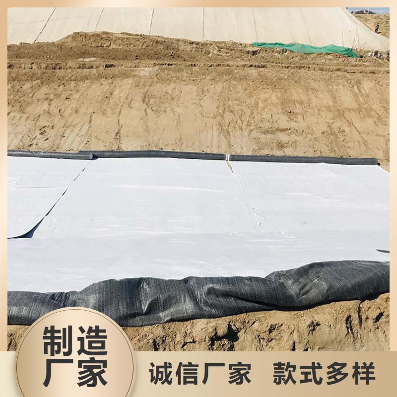 膨润土防水毯【防裂贴】厂家技术完善专业品质