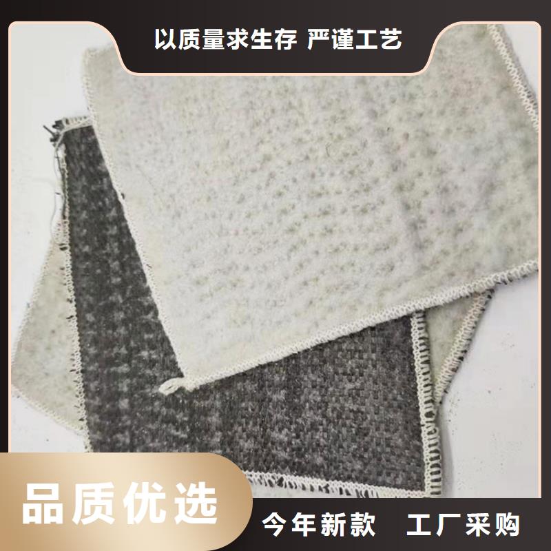 膨润土防水毯土工格栅严选材质同城经销商