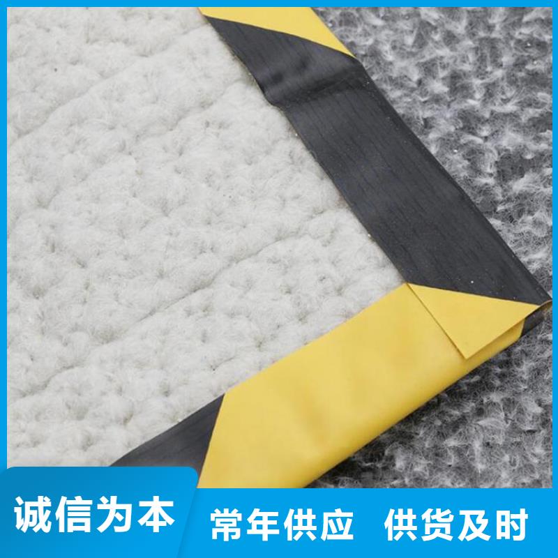 【膨润土防水毯塑料格栅产地工厂】同城生产厂家