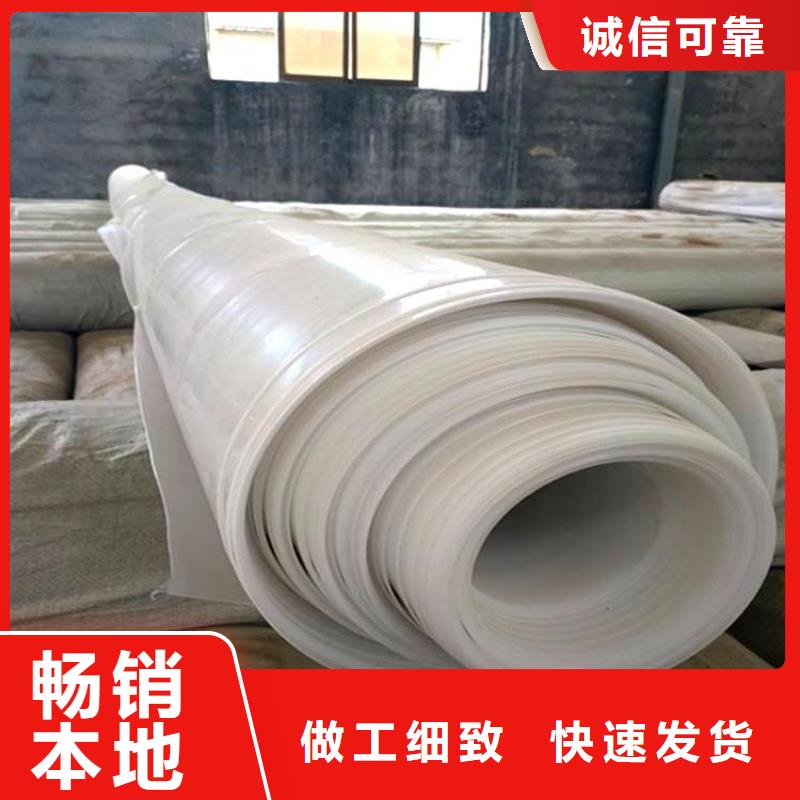 防水板橡胶支座质优价廉当地品牌