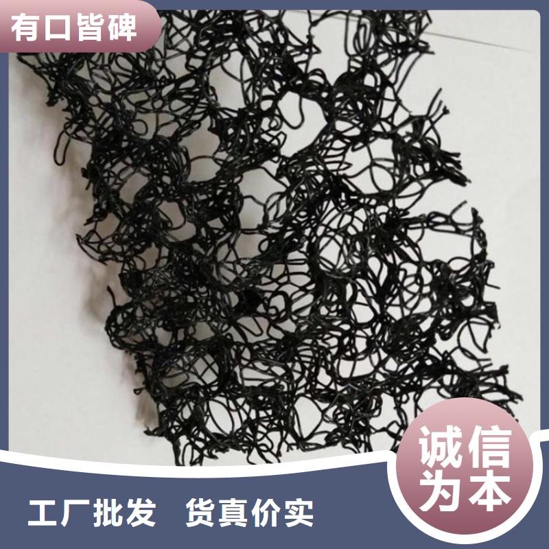 水土保护毯玻璃纤维土工格栅好品质经得住考验规格型号全